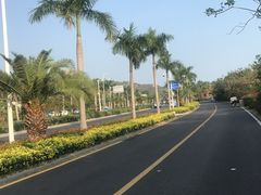 -黄金海岸环岛路