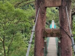-遂昌金矿国家矿山公园