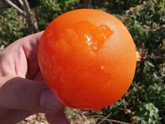 -青州市云门山风景区