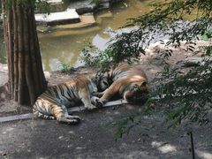 -大连森林动物园