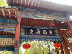 -大槐树寻根祭祖园