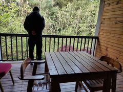 -武陵山森林公园