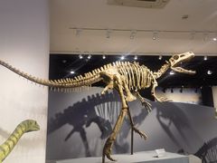 -自贡恐龙博物馆