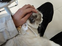 -怪兽屋·羊驼·猫咖·狗咖(俊华广场店)