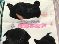 -瑞鹏宠物医院·骨外科·心肾科·肿瘤科(九亭店)