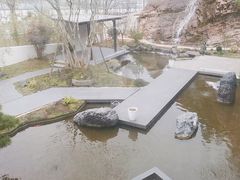 -雅苑中餐厅