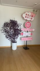 -唐溪香舍美容养生会馆