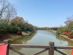 -上海海湾国家森林公园