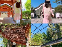 -广州神农草堂中医药博物馆