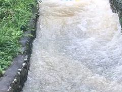 -龙岩森林水乡景区