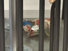 -汉堡王(天津鲁能店)