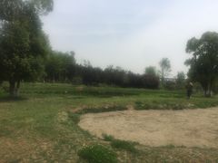 -白鹭湾湿地公园