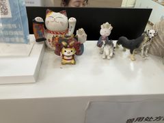 -美联众合动物医院·24h转诊中心