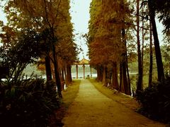 -西樵山风景名胜区-天湖公园