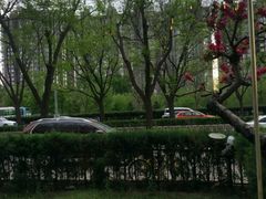 景观位-管氏翅吧(广渠门店)