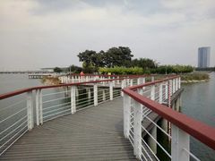 -天津金海湖