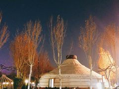 -九十九顶毡房(阜石路店)