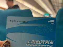 -龙阳路磁悬浮列车总站-停车场