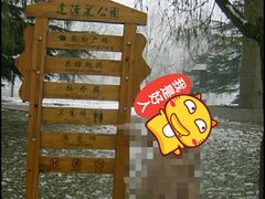 -达活泉公园