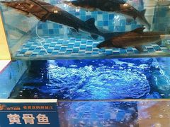 -饭橘汉江码头·乡野土菜馆(静安路店)