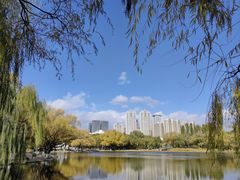 -青城公园