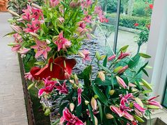 -上海鲜花港