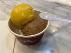 -哈根达斯(龙湖时代天街店)