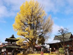 -医王山·飞騨国分寺