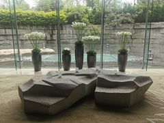 -外滩悦榕庄·海怡西餐厅
