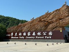 -茅兰沟国家森林公园