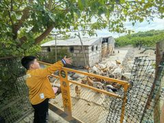 -樂桃源奉贤黄桃种植采摘基地