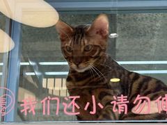 -FAELING PETS美天灵宠物(合生汇店)