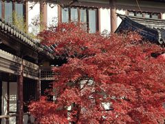 -常熟方塔园
