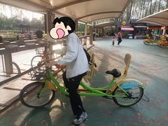 -合肥滨湖国家森林公园