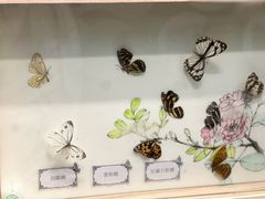 -甘肃省博物馆