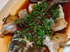 -南麓·浙里(外滩店)