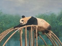 -杭州动物园