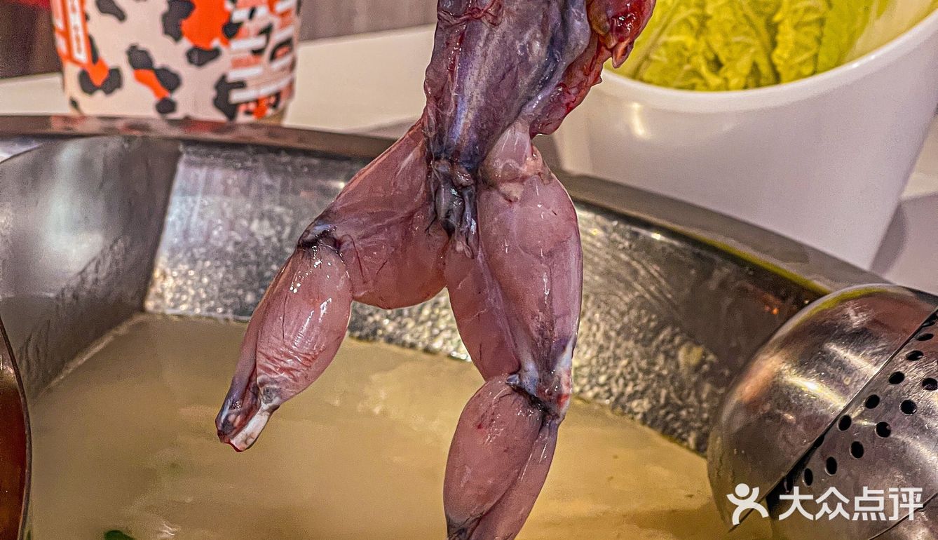 🤣不会吧，还有人没吃过二郎田鸡🐸