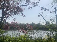 -燕郊植物园