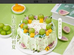 -维尔纳斯·生日蛋糕·动物奶油冰淇淋蛋糕(六里桥店)
