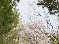 -自然谷恐龙园
