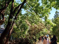 -国家植物园南园