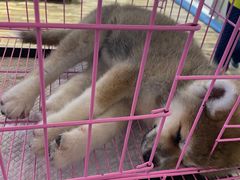 -远洋未来广场(育慧北路店)