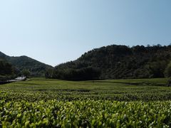 -东钱湖旅游度假区