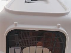 -中农国际动物医院24小时·猫科·骨科·急重症中心