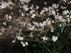 -石湖景区