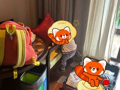 -上海崇明金茂凯悦酒店