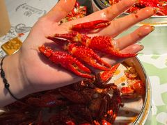 -巴厘龙虾·榜首油焖大虾(洞庭·艺术洋房店)