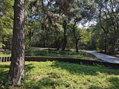 -北陵公园