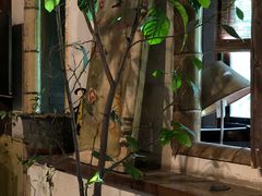 -斯多格书乡(北京大学畅春园店)